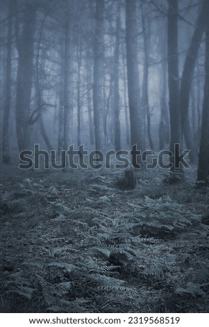 European foggy forest with green ferns in the foreground in spring