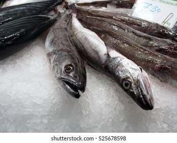 European Hake On Ice