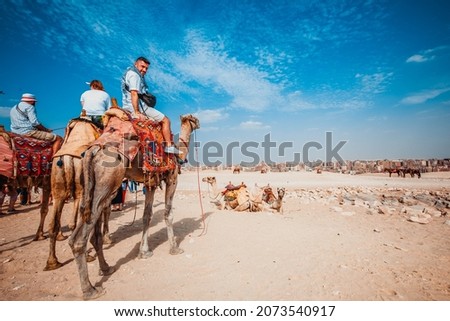 European male tourist sits on a camel and rides near the pyramid of Giza - Cairo, Egypt
