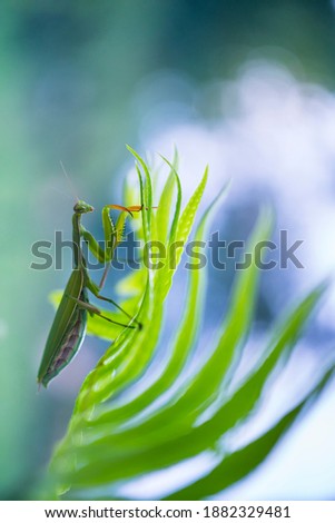 Similar – Image, Stock Photo time for togetherness