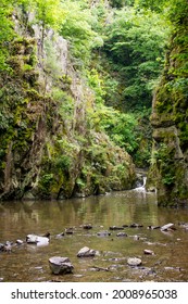 European Natural Forest With Flowinf Water. Brook And Tree And Green Plant In Middle Europe.  Ecology And Nature Conservation Concept.