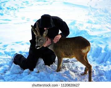 European Roe Dear Playing With Man, Serbia