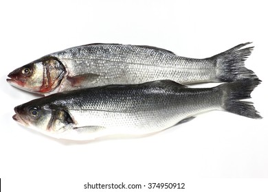 European Seabass Ready To Cook