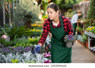 European young woman florist works in the greenhouse of a flower shop, inspecting potted plants - Powered by Shutterstock