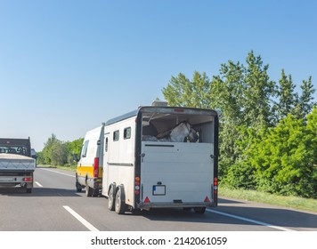 European-style horse box with horses pulled by minibus on hungarian road. Horse trailer on highway