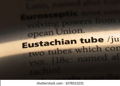 Eustachian Tube Word In A Dictionary. Eustachian Tube Concept