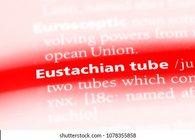 Eustachian Tube Word In A Dictionary. Eustachian Tube Concept