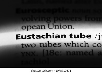 Eustachian Tube Word In A Dictionary. Eustachian Tube Concept