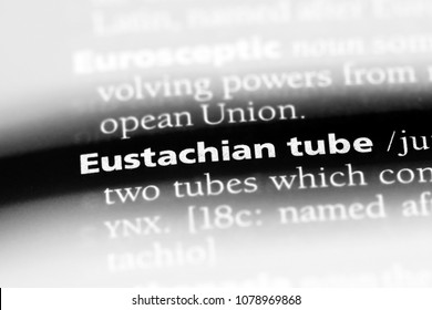 Eustachian Tube Word In A Dictionary. Eustachian Tube Concept