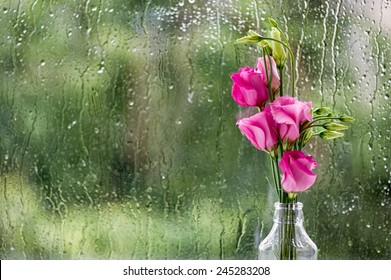 Eustoma Flowers Against Window Pane In Rainy Day.