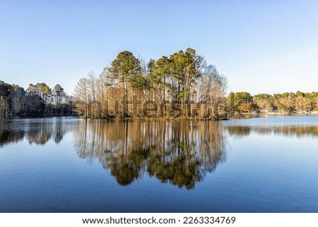 Eutawville, South Carolina sunset in town near Lake Marion with water landscape view at Fountain lake in spring evening with nobody and pine trees