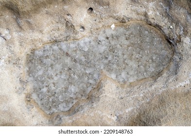 Evaporation Of Sea Water In A Puddle And Formation Of Salt Crystals Close Up
