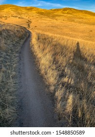 Evening Bike Ride In The Boise Foothills