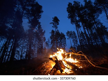 Evening Campfire In The Woods