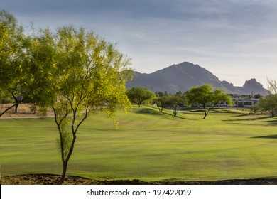 Evening falling over the Scottsdale Greenbelt with grass and Palo Verde and  Mesquite trees and with Camelback Mountain in the background.