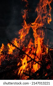 The evening fire is burning. Flames in high quality