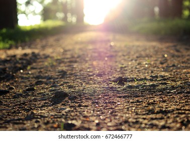 Evening Gatchina Park Is Lit By The Summer Sun. The Path With Gravel In The Gatchina Park From A Low Angle Is Illuminated By The Setting Sun