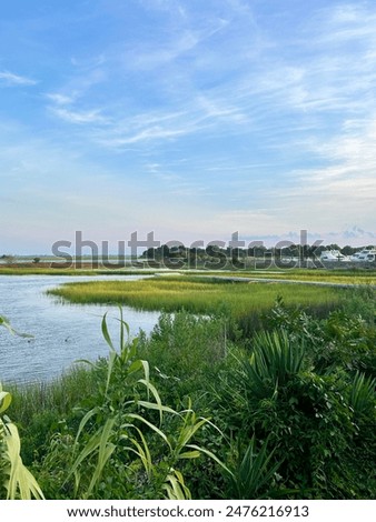 Evening in the Intercostal Marsh