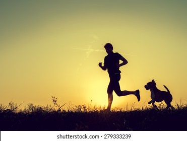 Evening jogging with beagle pet