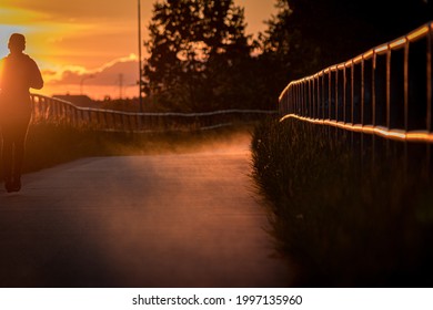Evening jogging in the mists,