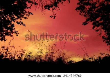 Evening landscape, black silhouettes grass and tress, red and orange sky, natural background for text