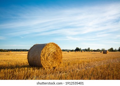 Evening landscape of straw bales on agricultural field. Countryside landscape - Powered by Shutterstock