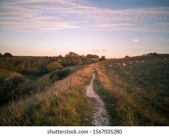 Evening On Old Winchester Hill