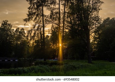 Evening park 