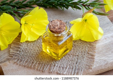 Evening Primrose Oil And Flowers