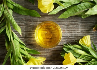 Evening Primrose Oil With Fresh Blooming Plant In Spring, Top View