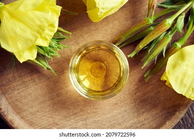 Evening Primrose Oil With Oenothera Biennis Flowers, Top View