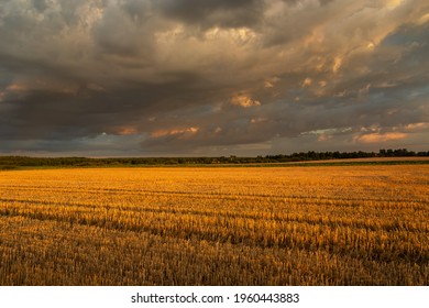 Evening Rain Cloud Over A Stubble Field, Czulczyce, Lubelskie, Poland