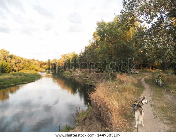 Evening rest near the river / weekend of\
the day off: people, dog, car and bicycle near the forest on the\
steep bank of the river Seversky Donets,\
Ukraine