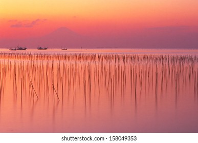 Evening Of Sagami Bay