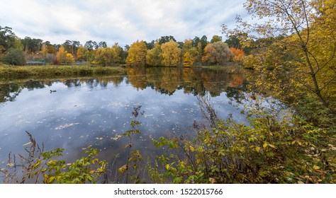 Evening Serebryany Bor Park Trees Reflected Stock Photo 1522015766 ...