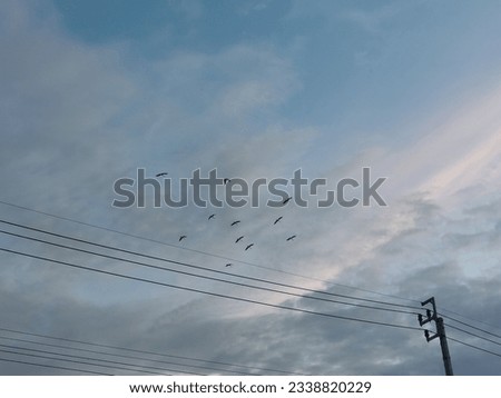 Similar – Image, Stock Photo Together towards the sun