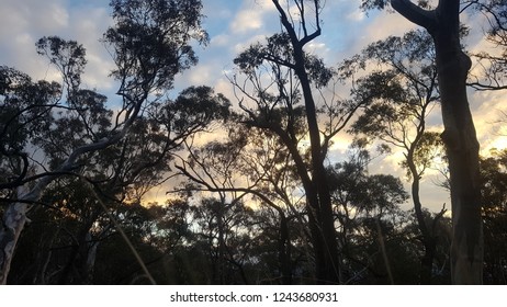 Evening Sky From Black Mountain Canberra ACT