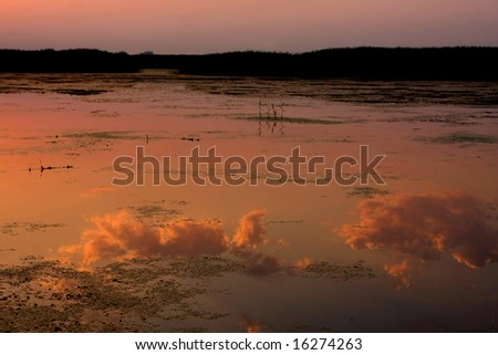 Evening sky and clouds in water reflection