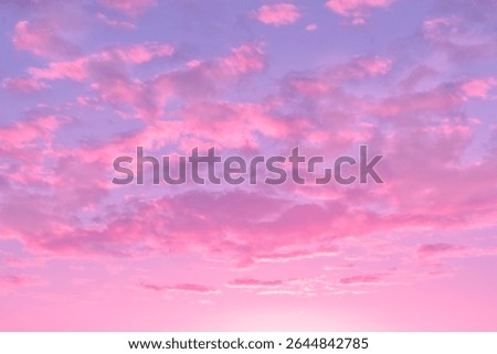 Evening sky with pink dramatic clouds. Dramatic Sunset, Sky clouds in the evening with pink, purple sunlight in Golden hour and dramatic fluffy, horizon setting sun Summer sky landscape. Nature bg 