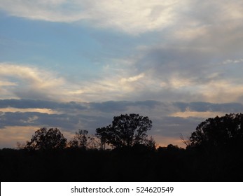 Evening Sky With Wildfire Smoke, Contrails, And Multicolored Clouds Over Tree Line Silhouette 