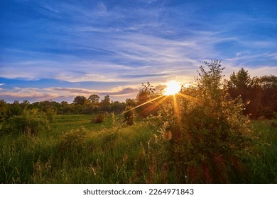 Evening summer field landscape. Beautiful sunset, calm mood among green grasses - Shutterstock ID 2264971843