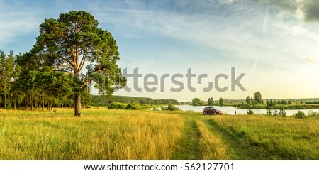 evening summer landscape with lush pine tree on the banks of river and dirt road, Russia, Ural