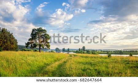 evening summer landscape with a tree on the riverbank, Russia, Ural
