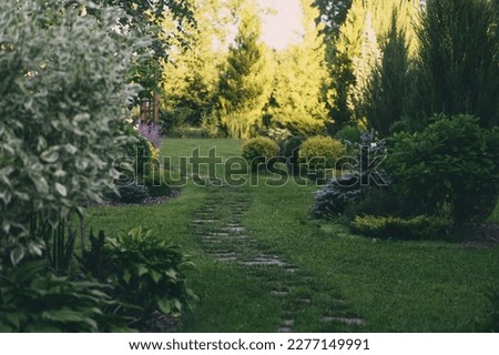 Evening summer walk in garden with curvy stone pathway and wooden archway. Natural woodland cottage garden with hostas, conifers and shrubs