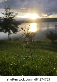 Evening sun