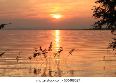 The evening sunlight.