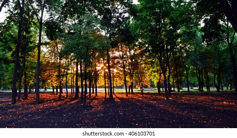 evening sunset park