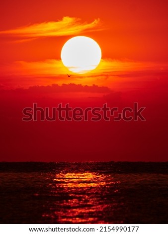 evening sunset sky with sun and clouds in red tones, silhouettes of birds flying over the water