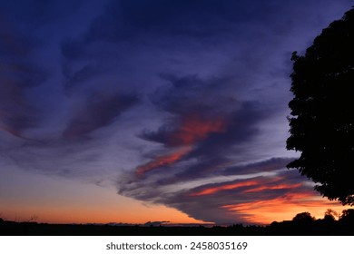 Evening sunset with tree in foreground