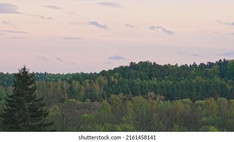 Evening Time Lapse Landscape Of Forest Hills